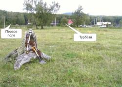 post-5029-0-61770800-1316533753_thumb.jp