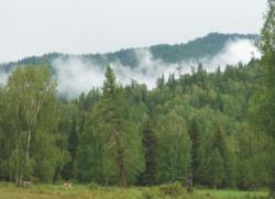 post-5029-0-73922100-1316528516_thumb.jp