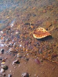 post-6245-0-58719100-1317318143_thumb.jp