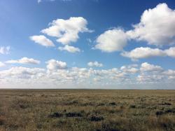 post-6707-0-09069500-1316456813_thumb.jp