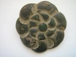 post-6948-0-22316800-1316017303_thumb.jp