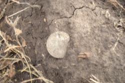 post-7218-0-32245500-1315276658_thumb.jp