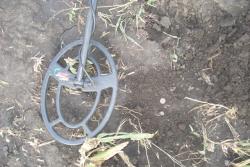 post-7218-0-39575800-1315276619_thumb.jp