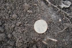 post-7218-0-52910200-1315276609_thumb.jp