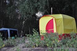 post-7225-0-23562200-1315385394_thumb.jp