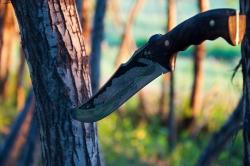 post-7225-0-48026500-1315385342_thumb.jp