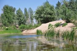 post-7225-0-92405300-1315385341_thumb.jp