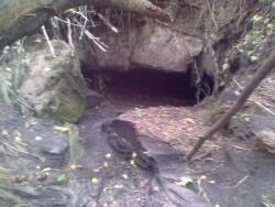 post-7752-0-37560700-1315222052_thumb.jp