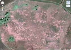 post-7801-0-30361500-1317132184_thumb.jp