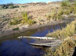 post-13868-0-92644800-1347025682_thumb.j