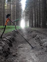 post-13973-0-54199400-1347458186_thumb.j