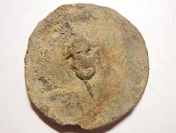 post-14093-0-84372100-1347475617_thumb.j