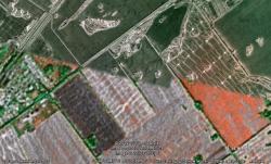 post-14129-0-14881200-1348813145_thumb.j