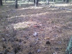 post-1580-0-16357000-1347633350_thumb.jp