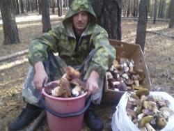 post-1580-0-64917400-1347633298_thumb.jp