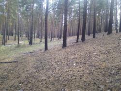 post-1580-0-73466400-1347633104_thumb.jp