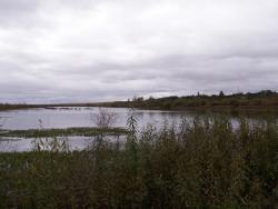 post-1697-0-41889000-1349014249_thumb.jp