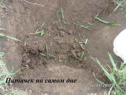 post-2817-0-87572200-1346994720_thumb.jp