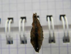 post-3295-0-30984600-1347455469_thumb.jp