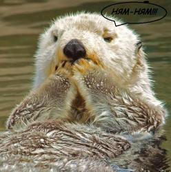 post-4485-0-78358200-1347188774_thumb.jp