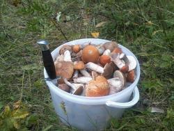 post-4655-0-00975800-1346583736_thumb.jp