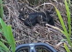 post-4655-0-18909900-1346585312_thumb.jp