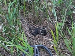 post-4655-0-85164100-1346583726_thumb.jp