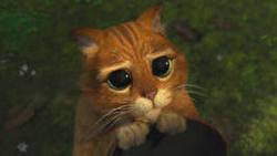 post-4743-0-26363200-1348206226_thumb.jp