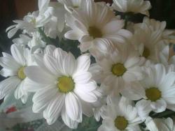 post-4989-0-84879900-1347988080_thumb.jp