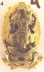 post-5029-0-08169400-1347007682_thumb.jp