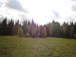 post-6086-0-45162800-1347952275_thumb.jp