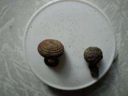 post-6167-0-34710800-1348139398_thumb.jp