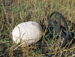 post-6245-0-20365700-1346775876_thumb.jp