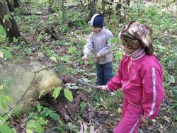 post-6245-0-29796900-1347374646_thumb.jp