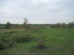 post-6245-0-52232500-1347552384_thumb.jp