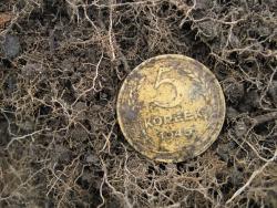 post-6245-0-76950200-1347552393_thumb.jp