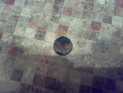 post-6685-0-84032200-1347591841_thumb.jp