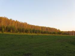 post-6726-0-05366200-1348377598_thumb.jp