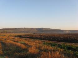 post-6726-0-23120700-1348244838_thumb.jp