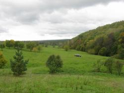 post-6726-0-59601000-1347358985_thumb.jp