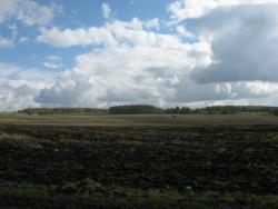 post-6726-0-72373900-1348490129_thumb.jp