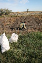 post-7218-0-23042000-1348031400_thumb.jp