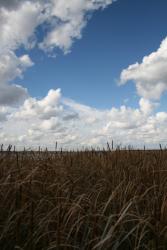 post-7218-0-40574600-1348031438_thumb.jp