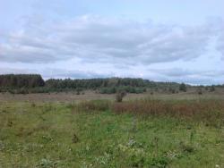 post-7566-0-30783600-1346695162_thumb.jp