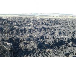 post-7566-0-69397200-1348254958_thumb.jp