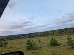 post-7566-0-79229000-1346695147_thumb.jp