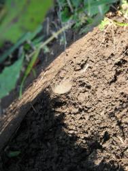 post-7566-0-88563300-1348387173_thumb.jp