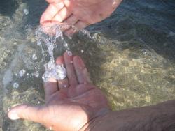 post-8567-0-25450000-1347274538_thumb.jp