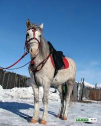 post-9966-0-21320000-1348720897_thumb.jp