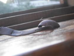 post-9966-0-65844400-1347027847_thumb.jp